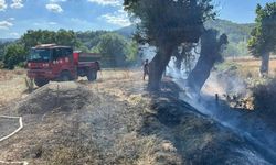 Kastamonu'da çıkan anız yangınına ekiplerden hızlı müdahale
