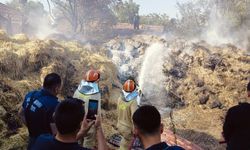 Kastamonu'da çıkan yangında çiftçinin tüm emekleri küle döndü