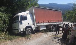 Kastamonu'da kaza: Kitap yüklü kamyon bahçeye uçtu