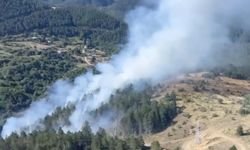 Kastamonu’da korkutan yangın büyümeden söndürüldü