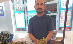 Pazarda fındık ve biber bolluğu: Fiyatlar düştü, vatandaşın yüzü güldü