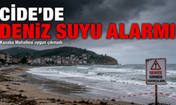 Selin ardından Cide sahillerinden kritik sonuç