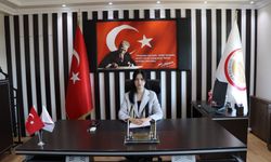 Seydiler Kaymakamı Büşra Erdoğan Duramaz görevine başladı