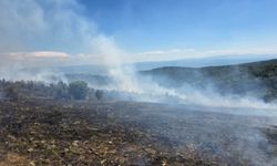 Kastamonu'da çıkan orman yangını kontrol altında!