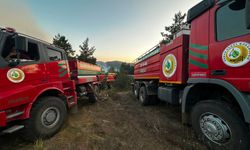 Taşköprü'de köy evi alevlere teslim oldu