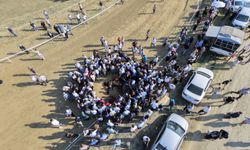 Taşköprü festivali yarışlarında iki at çarpışarak telef oldu