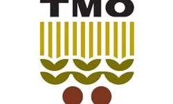 TMO Cide’de fındık alımına başlıyor
