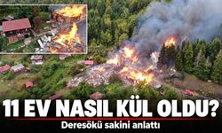 Deresökü’de 11 evin yandığı yangın neden büyüdü?