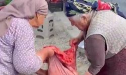Kastamonu sokaklarını salça kokusu sardı