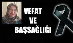 Kastamonu’da Döndü Kaya hayatını kaybetti
