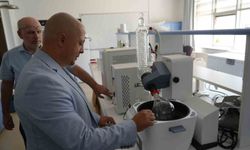 Kanlıca mantarı güneş kremine dönüştü: Patenti alındı!