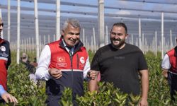 Alternatif tarımda Kastamonu'nun aronya başarısı