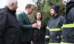 Başkan Baltacı'dan İnebolu'daki yangın bölgesine ziyaret