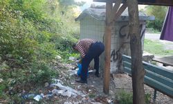 Cide’de duyarlı vatandaş çöpleri elleriyle topladı: “Bu kadar da olmaz!”