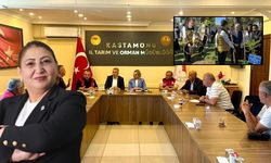 DSP İl Başkanı Urganioğlu'ndan "fotoğraf" eleştirisi