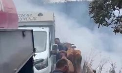 İnebolu’daki yangından kurtarılan hayvanlar tahliye edildi