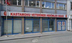 Kastamonu Veteriner Hekimleri Odası sandık başına gidiyor