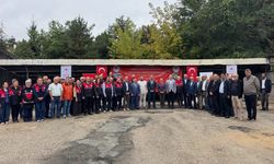 Kastamonu'da 502 sera örtüsü daha toprakla buluşuyor