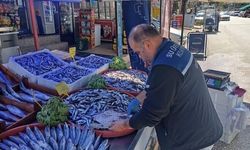 Kastamonu’da balıkçılara sıkı denetim