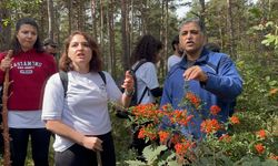 Kastamonu'da üniversite öğrencilerinden doğa yürüyüşü