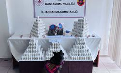 Kastamonu'daki yasaklı madde operasyonu davası sürüyor