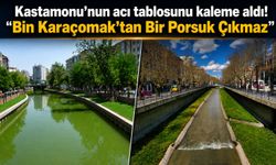 Kastamonu’nun acı tablosunu kaleme aldı! "Bin Karaçomak’tan Bir Porsuk Çıkmaz"