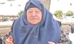 Kastamonu’nun sevilen siması “Güdü” hayatını kaybetti