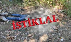 Cide’de köprü altında erkek cesedi bulundu