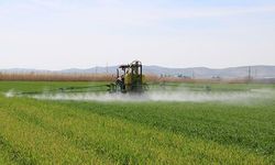 KKYP sonuçları açıklandı: Kırsala 12,5 milyar lira hibe desteği