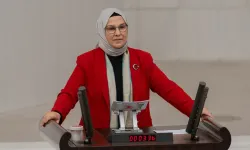 TBMM’deki Kastamonulu milletvekilleri arasında öne çıkıyor