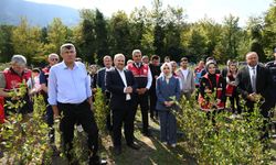 Şenpazar’da aronya hasadı başladı