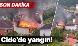 Cide'de yangın