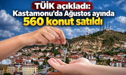 TÜİK açıkladı: Kastamonu'da Ağustos ayında 560 konut satıldı