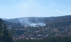 Kastamonu’daki yangın mezarlıkta çıkmış!
