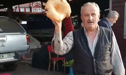 1 kiloluk dev kanlıca mantarı pazarda dikkat çekti