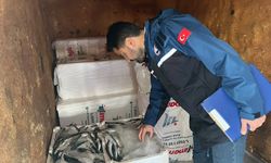 Çatalzeytin’de balıkçılara su ürünleri denetimi yapıldı