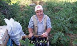 Çatalzeytin’de Murat Kurt hayatını kaybetti