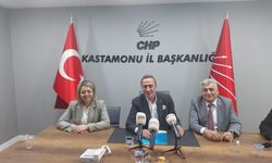 CHP PM Üyesi Berhan Şimşek: “İsteseydik kurultayı iptal ettirebilirdik”