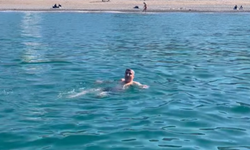 Cide’de yazdan kalma günler! Ekim ayında Karadeniz’e girdiler