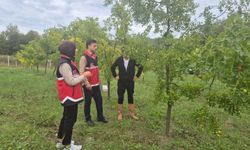 Cide’de Hünnap bahçesine ziyaret