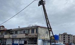 Cide’de fırtına çatı uçurdu, elektrik direğini büktü