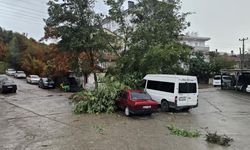 Cide’de rüzgârın şakası yok