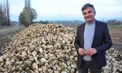 Çorumlu pancar üreticisi, “Zarar ediyoruz” diyenlere yüklendi!