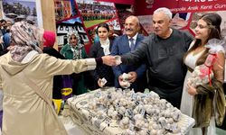 Halil Ergün, Kastamonu’nun “beyaz altınını” dağıttı
