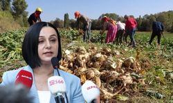 İl Başkanı Karabacak: "Pancar üreticisi ürününü kaça sattığını hala bilmiyor"