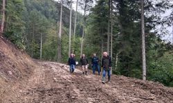 Kastamonu’da 5,3 kilometrelik yeni orman yolu tamamlandı