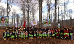 Kastamonu’da minik eller kayın tohumlarını toprakla buluşturdu