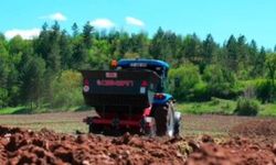 Kastamonu Belediyesinden ailelere 36 ton patates desteği