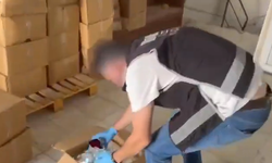Kastamonu dahil 69 ilde 494 şüpheli yakalandı
