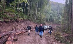 Kastamonu ormanlarında ulaşım için yeni adım